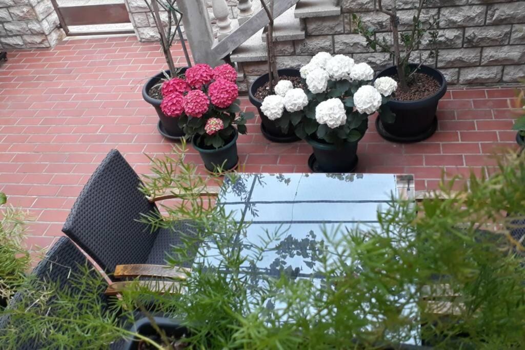 Apartment Eli Đảo Pag Ngoại thất bức ảnh