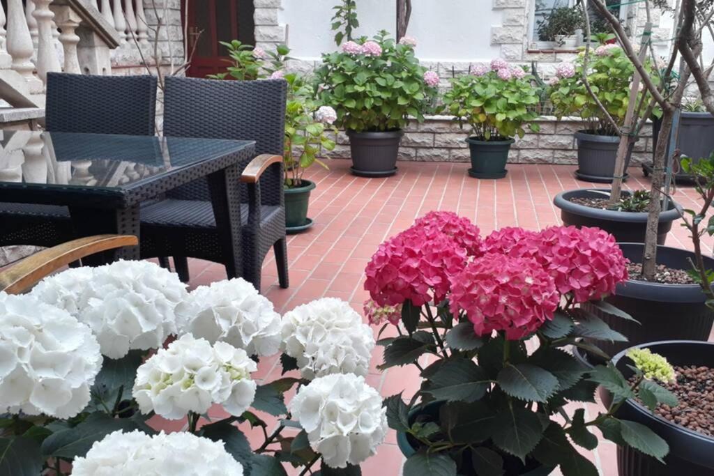 Apartment Eli Đảo Pag Ngoại thất bức ảnh
