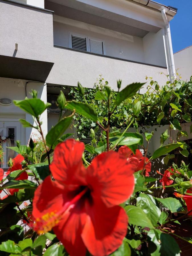 Apartment Eli Đảo Pag Ngoại thất bức ảnh